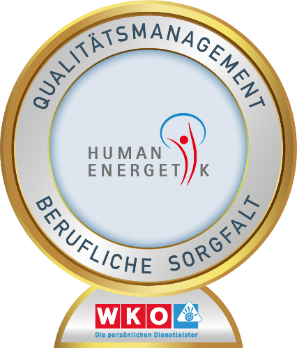 Logo Berufliche Sorgfalt - WKO